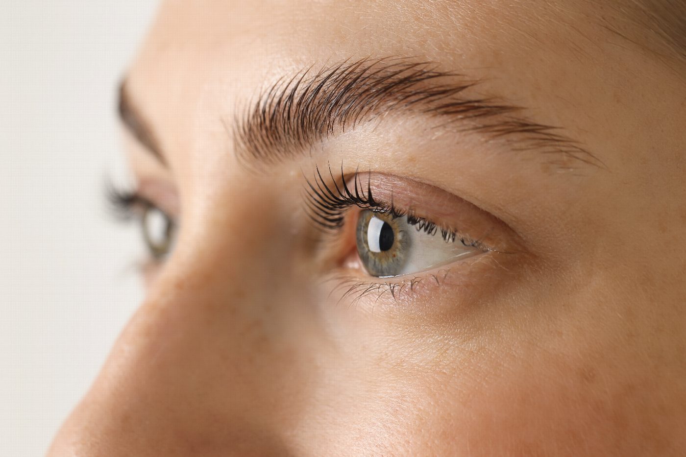 Auge mit gelifteten Wimpern und geformten Augenbrauen